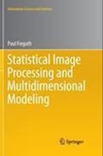 Statistical Image Processing and Multidimensional Modeling
