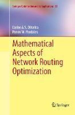 Mathematical Aspects of Network Routing Optimization