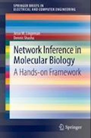 Network Inference in Molecular Biology