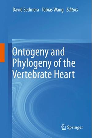 Ontogeny and Phylogeny of the Vertebrate Heart