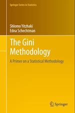 Gini Methodology