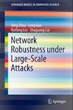 Network Robustness under Large-Scale Attacks