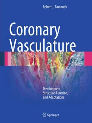 Coronary Vasculature