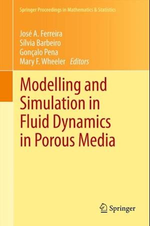 Modelling and Simulation in Fluid Dynamics in Porous Media