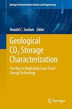 Geological CO2 Storage Characterization