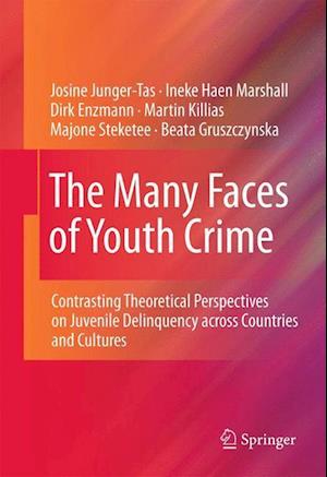 The Many Faces of Youth Crime