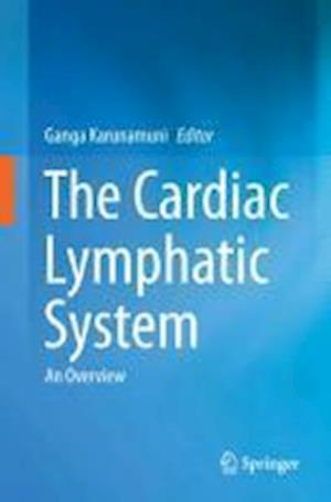 The Cardiac Lymphatic System