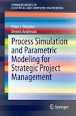 Process Simulation and Parametric Modeling for Strategic Project Management