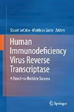 Human Immunodeficiency Virus Reverse Transcriptase