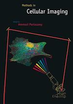 Methods in Cellular Imaging