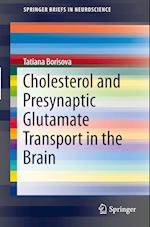 Cholesterol and Presynaptic Glutamate Transport in the Brain