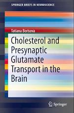 Cholesterol and Presynaptic Glutamate Transport in the Brain