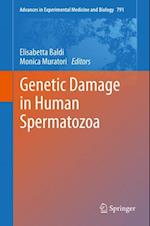 Genetic Damage in Human Spermatozoa