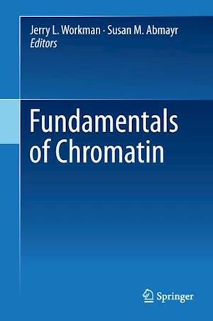 Fundamentals of Chromatin