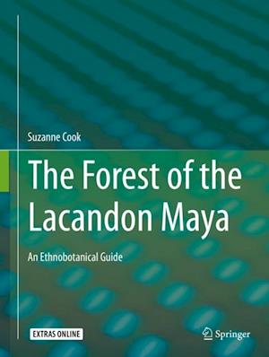 Forest of the Lacandon Maya