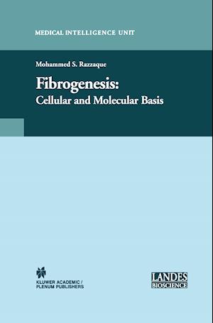 Fibrogenesis