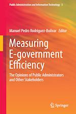 Measuring E-government Efficiency