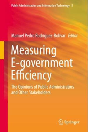 Measuring E-government Efficiency