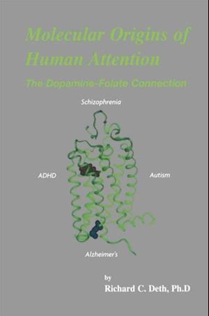 Molecular Origins of Human Attention