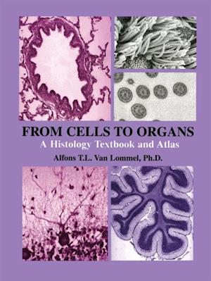 From Cells to Organs