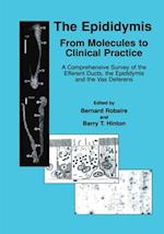 Epididymis: From Molecules to Clinical Practice