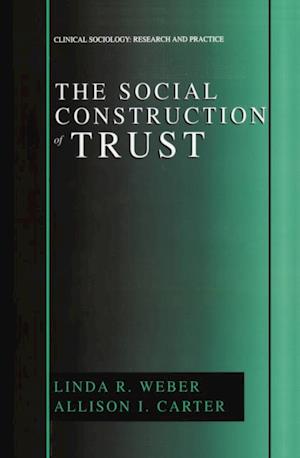 Social Construction of Trust