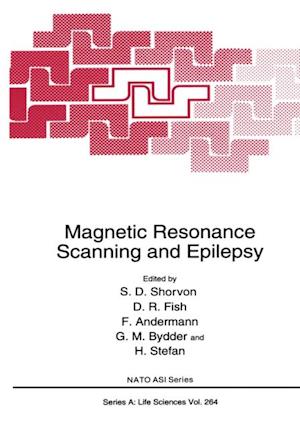 Magnetic Resonance Scanning and Epilepsy