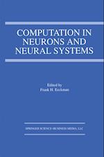 Computation in Neurons and Neural Systems