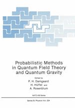 Probabilistic Methods in Quantum Field Theory and Quantum Gravity