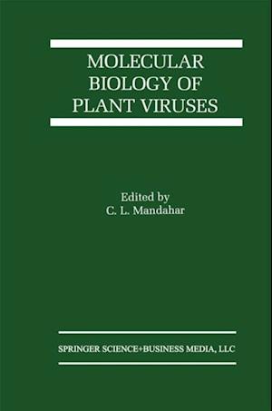 Molecular Biology of Plant Viruses