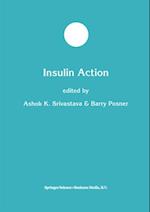 Insulin Action