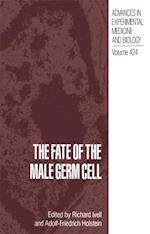 Fate of the Male Germ Cell