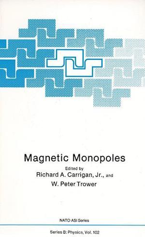 Magnetic Monopoles