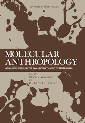 Molecular Anthropology