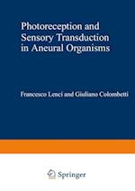 Photoreception and Sensory Transduction in Aneural Organisms