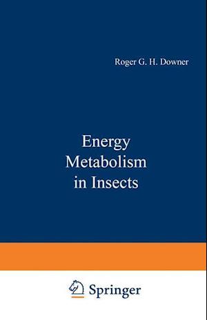 Energy Metabolism in Insects