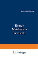 Energy Metabolism in Insects