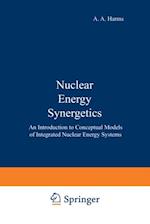 Nuclear Energy Synergetics