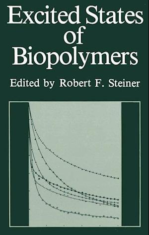 Excited States of Biopolymers