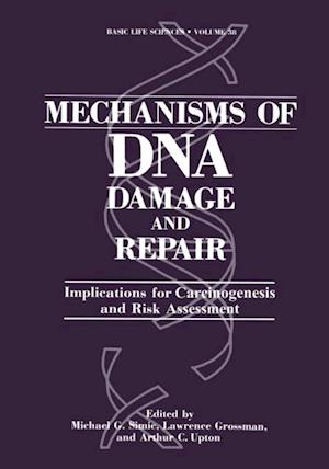 Mechanisms of DNA Damage and Repair