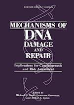 Mechanisms of DNA Damage and Repair