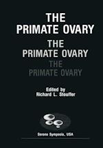 Primate Ovary