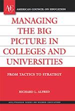 Managing the Big Picture in Colleges and Universities