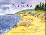 Orphan Seal