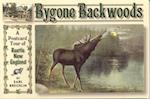 Bygone Backwoods