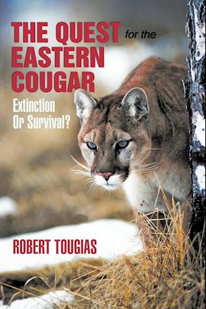 The Quest for the Eastern Cougar