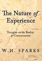 The Nature of Experience