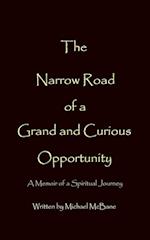 The Narrow Road of a Grand and Curious Opportunity