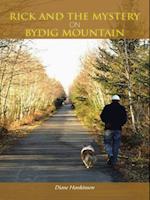 Rick and the Mystery on Bydig Mountain