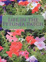 Life in the Petunia Patch